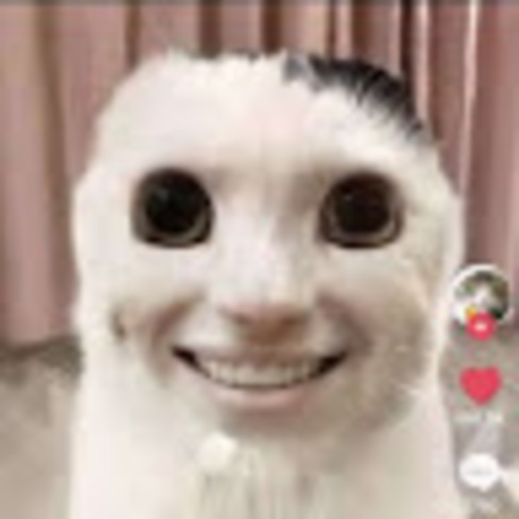 Meet your Posher, Geney - Picture 1 of 1